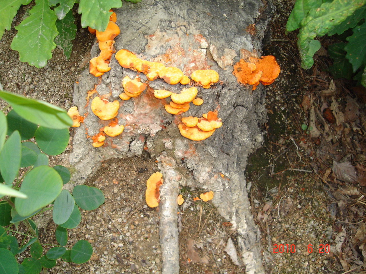 DSC07724.JPG