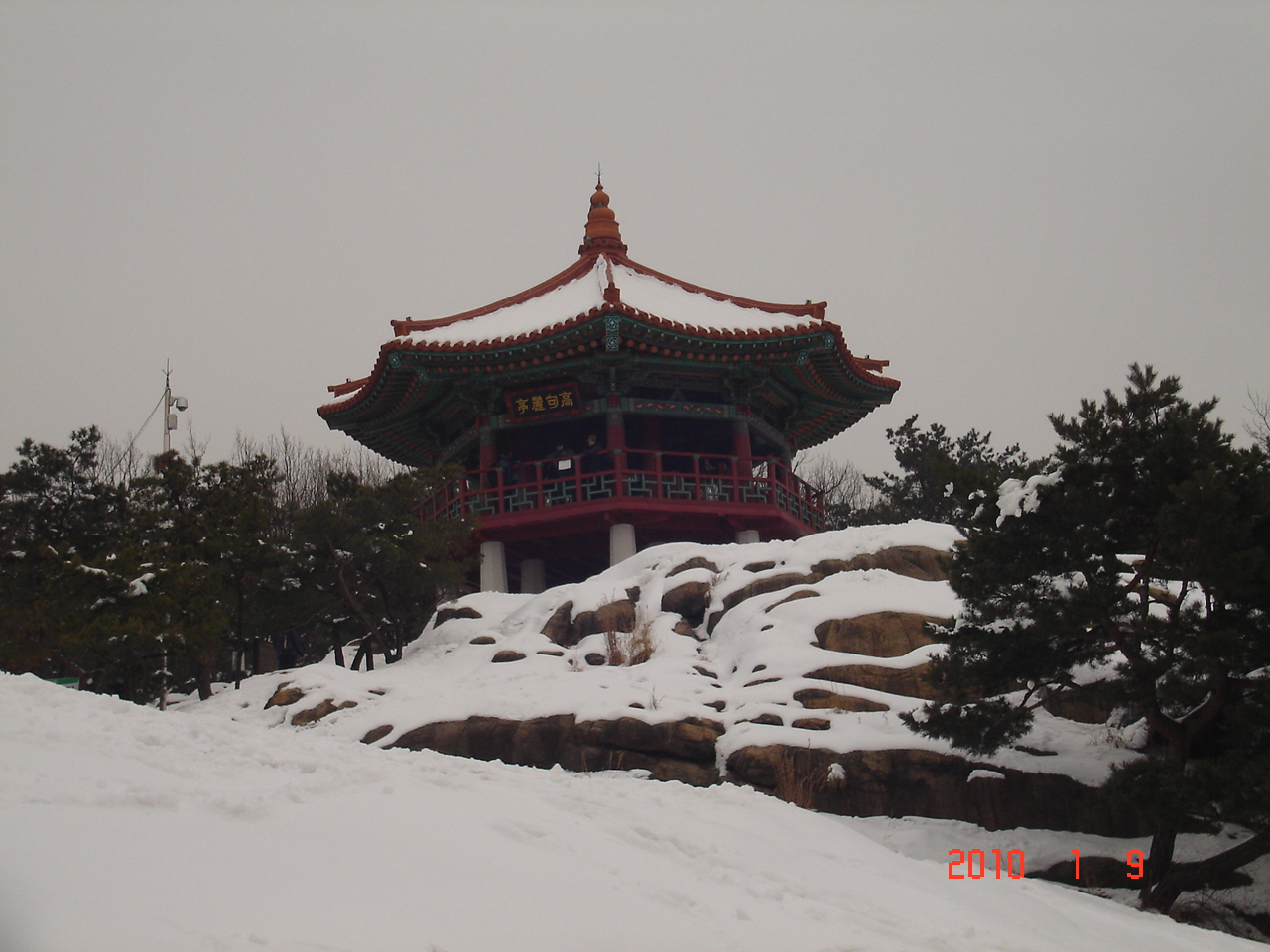 DSC06114.JPG